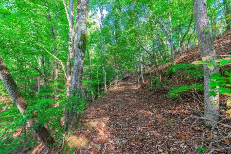 Lot 50 Jakes Landing Way Ellijay GA 30540