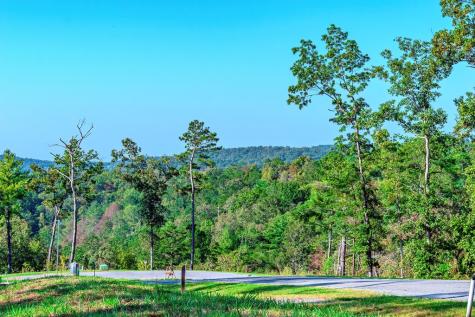 Lot 50 Jakes Landing Way Ellijay GA 30540