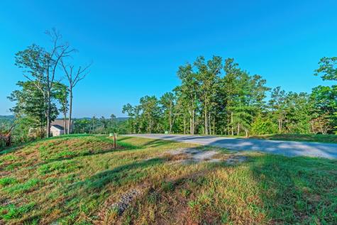 Lot 50 Jakes Landing Way Ellijay GA 30540