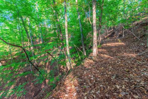 Lot 50 Jakes Landing Way Ellijay GA 30540