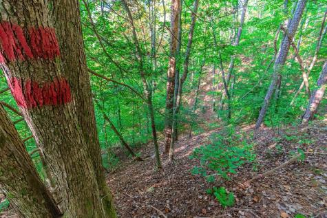 Lot 50 Jakes Landing Way Ellijay GA 30540