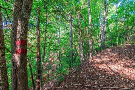 Lot 50 Jakes Landing Way Ellijay GA 30540