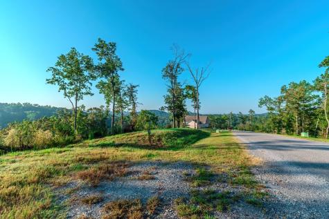 Lot 50 Jakes Landing Way Ellijay GA 30540