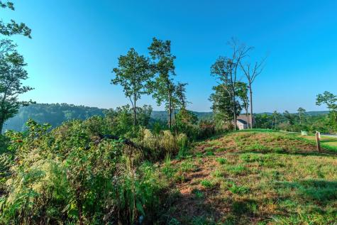 Lot 50 Jakes Landing Way Ellijay GA 30540