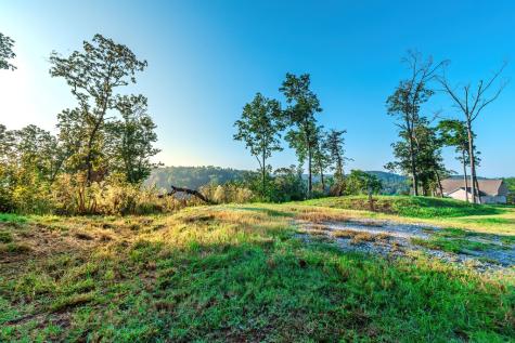 Lot 50 Jakes Landing Way Ellijay GA 30540