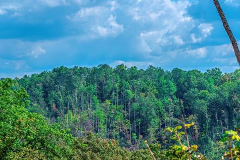 Lot 50 Jakes Landing Way Ellijay GA 30540