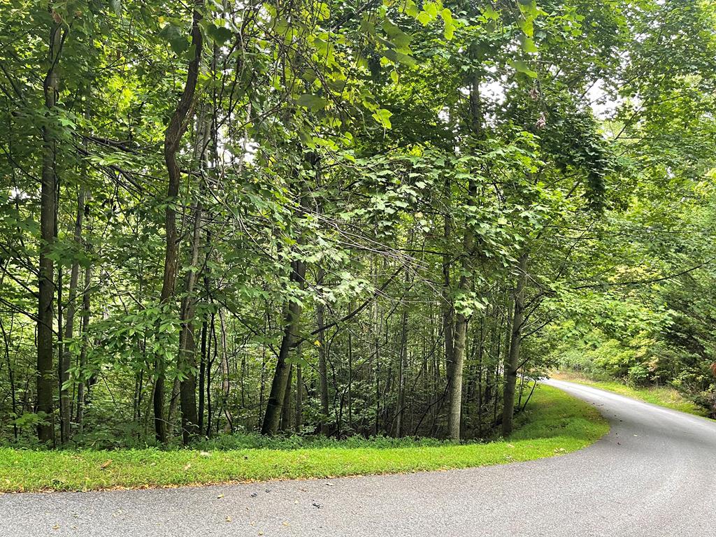 Lot 32 J Mountain Harbour Lot Hayesville NC 29804