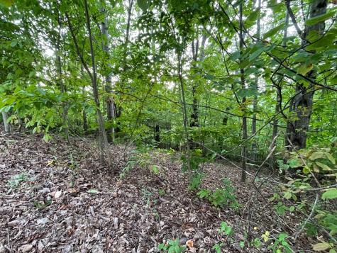 Lot 32 J Mountain Harbour Lot Hayesville NC 29804