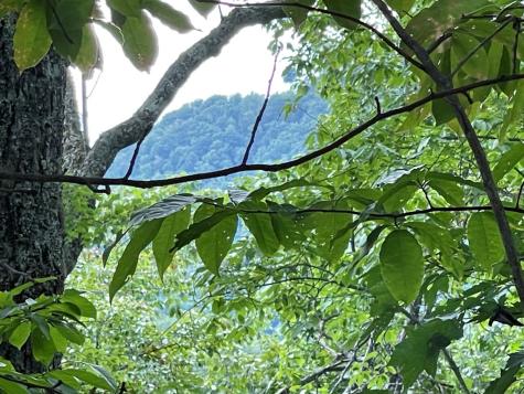Lot 32 J Mountain Harbour Lot Hayesville NC 29804