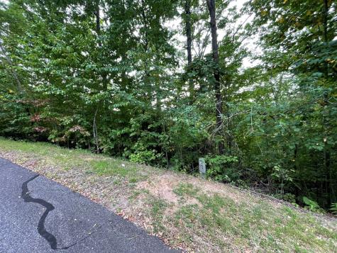 Lot 32 J Mountain Harbour Lot Hayesville NC 29804