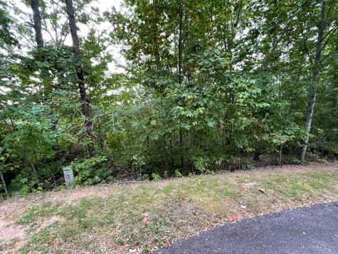 Lot 32 J Mountain Harbour Lot Hayesville NC 29804