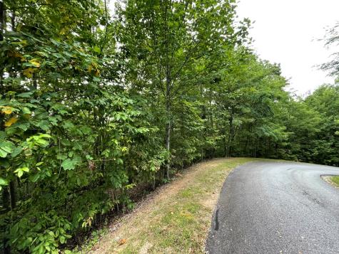 Lot 32 J Mountain Harbour Lot Hayesville NC 29804