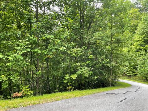 Lot 32 J Mountain Harbour Lot Hayesville NC 29804