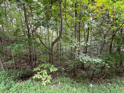 Lot 32 J Mountain Harbour Lot Hayesville NC 29804