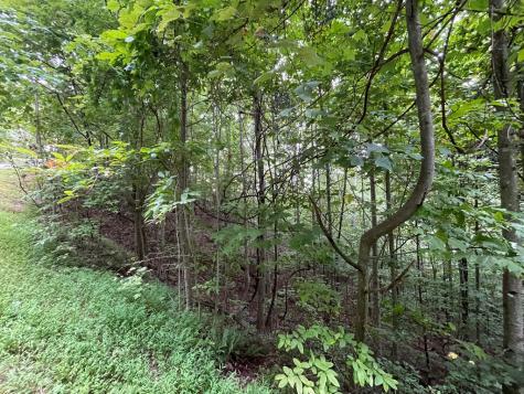 Lot 32 J Mountain Harbour Lot Hayesville NC 29804