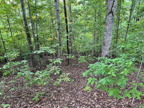 Lot 32 J Mountain Harbour Lot Hayesville NC 29804