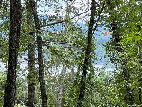 PC 1 Buena Vista Drive Hayesville NC 28904