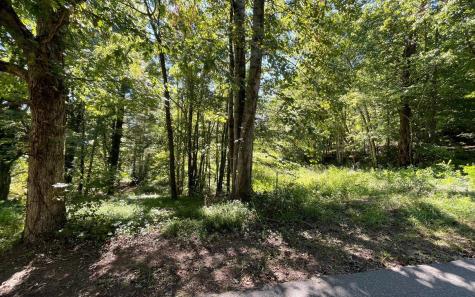 PC 1 Buena Vista Drive Hayesville NC 28904
