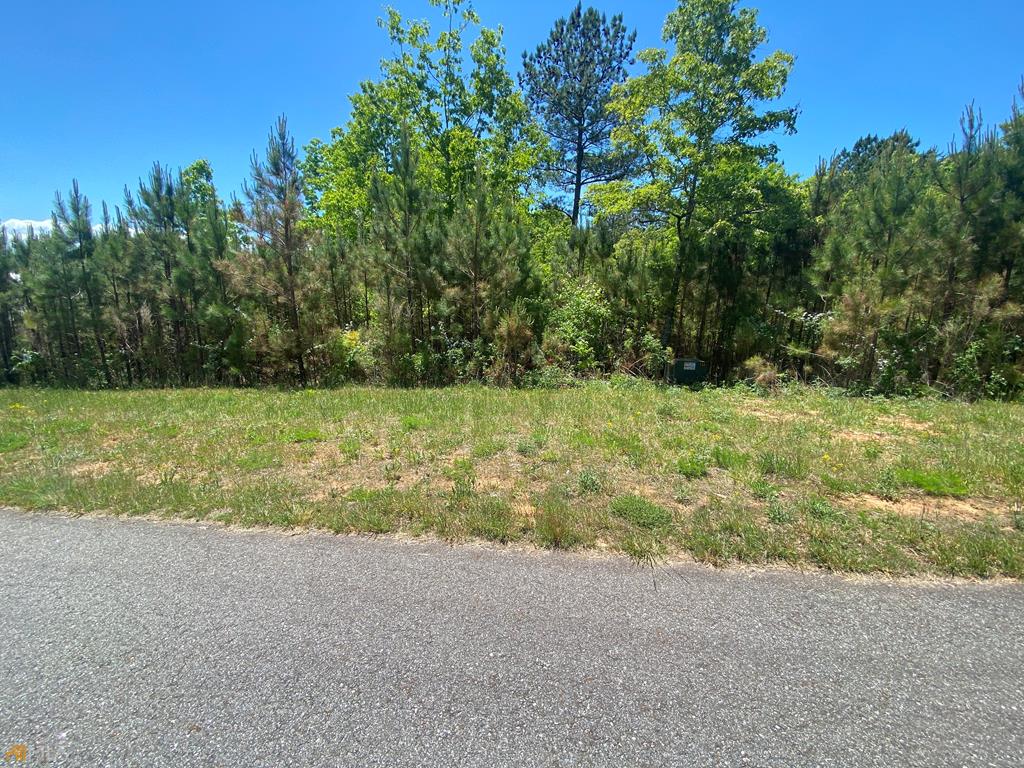 Lot 55 Village Loop Blairsville GA 30512