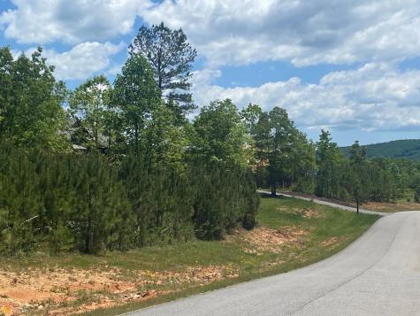Lot 55 Village Loop Blairsville GA 30512
