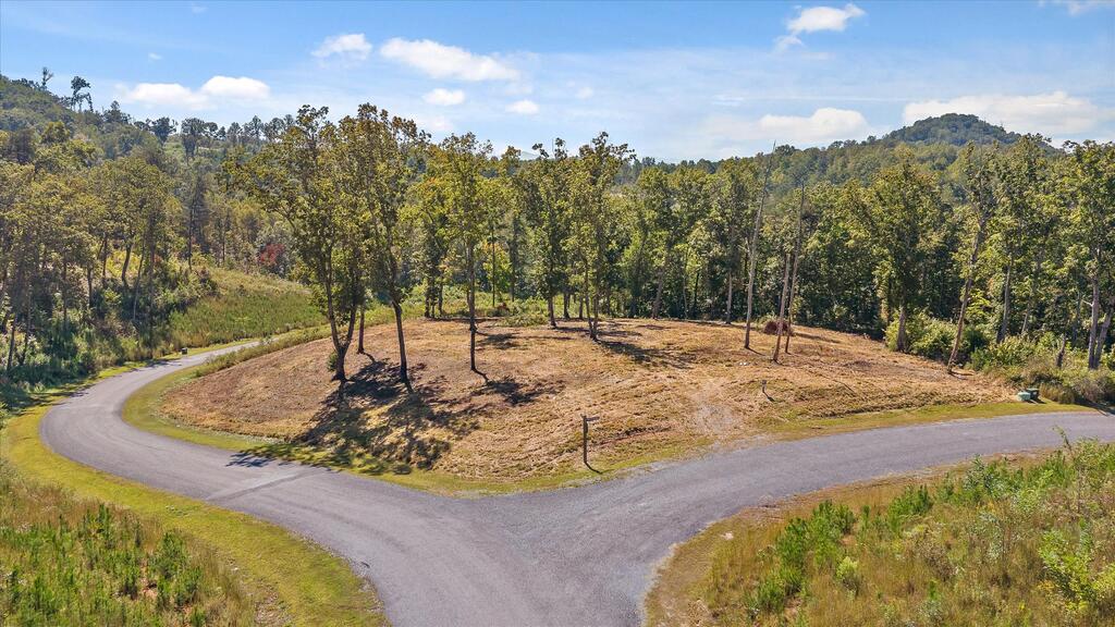 Lot 87 Twisted Oak Trail Talking Rock GA 30175