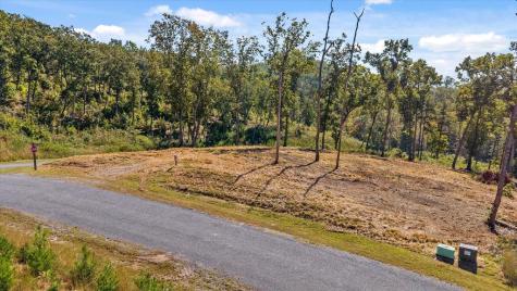 Lot 87 Twisted Oak Trail Talking Rock GA 30175