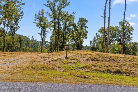 Lot 87 Twisted Oak Trail Talking Rock GA 30175