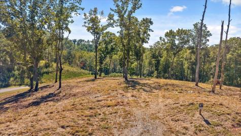 Lot 87 Twisted Oak Trail Talking Rock GA 30175