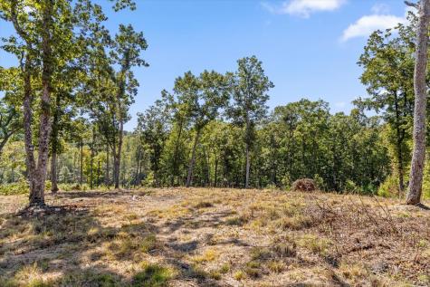 Lot 87 Twisted Oak Trail Talking Rock GA 30175