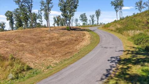 Lot 87 Twisted Oak Trail Talking Rock GA 30175