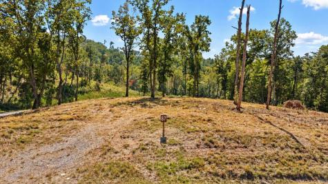 Lot 87 Twisted Oak Trail Talking Rock GA 30175
