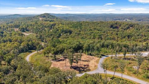 Lot 87 Twisted Oak Trail Talking Rock GA 30175