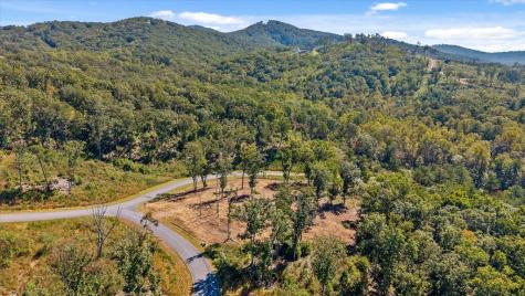 Lot 87 Twisted Oak Trail Talking Rock GA 30175