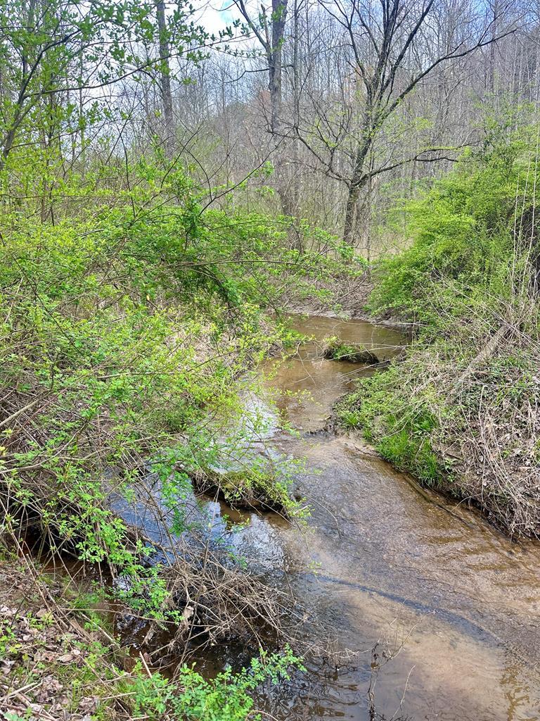 Lot 1 S Blue Horizon Drive Blue Ridge GA 30513