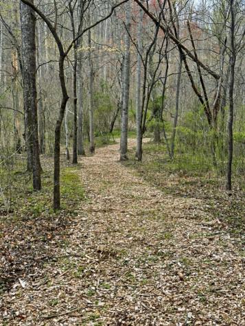 Lot 1 S Blue Horizon Drive Blue Ridge GA 30513