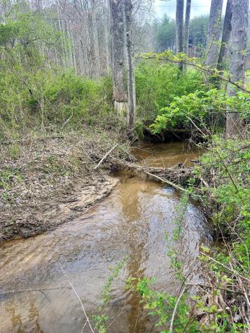 Lot 1 S Blue Horizon Drive Blue Ridge GA 30513