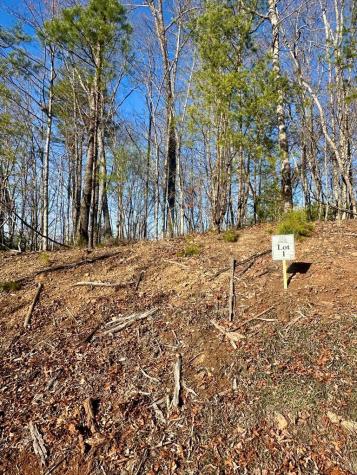 Lot 1 S Blue Horizon Drive Blue Ridge GA 30513