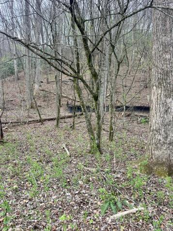 Lot 1 S Blue Horizon Drive Blue Ridge GA 30513