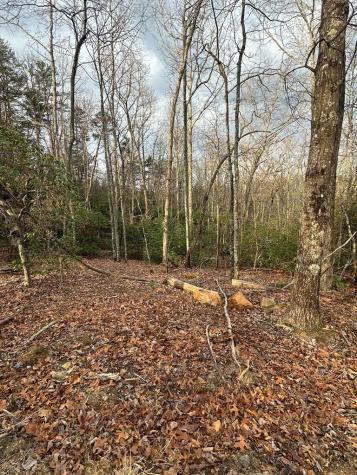 Lot 1 S Blue Horizon Drive Blue Ridge GA 30513