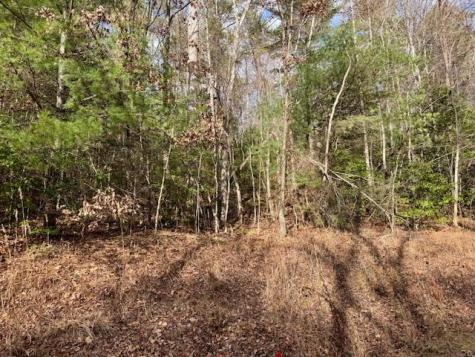 Lt 9 Timberline Road Murphy NC 28906