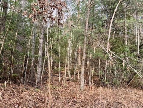 Lt 9 Timberline Road Murphy NC 28906