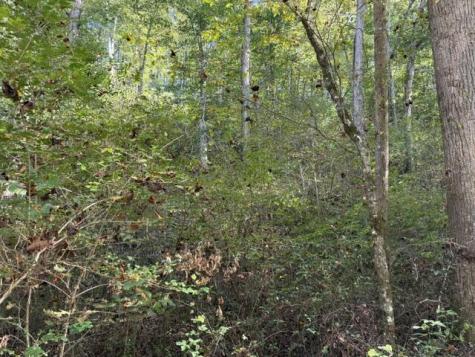 Lot 73 Turkey Walk Drive Marble NC 28905