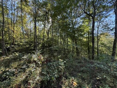 Lot 73 Turkey Walk Drive Marble NC 28905