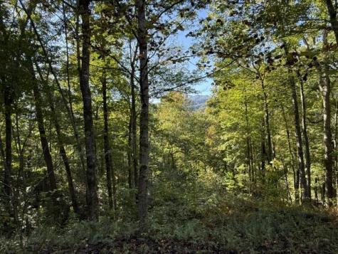 Lot 73 Turkey Walk Drive Marble NC 28905