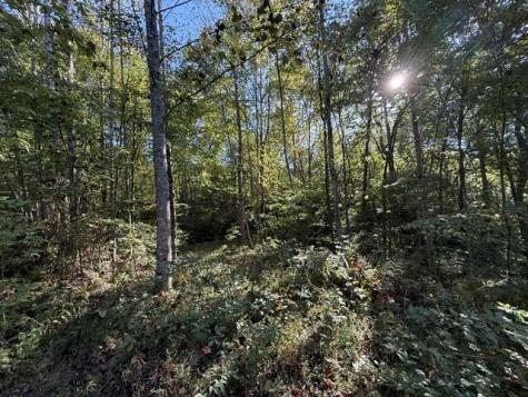 Lot 73 Turkey Walk Drive Marble NC 28905