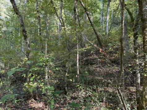 Lot 73 Turkey Walk Drive Marble NC 28905