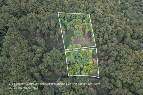 Lot 20 Buckhead Hills Hiawassee GA 30546