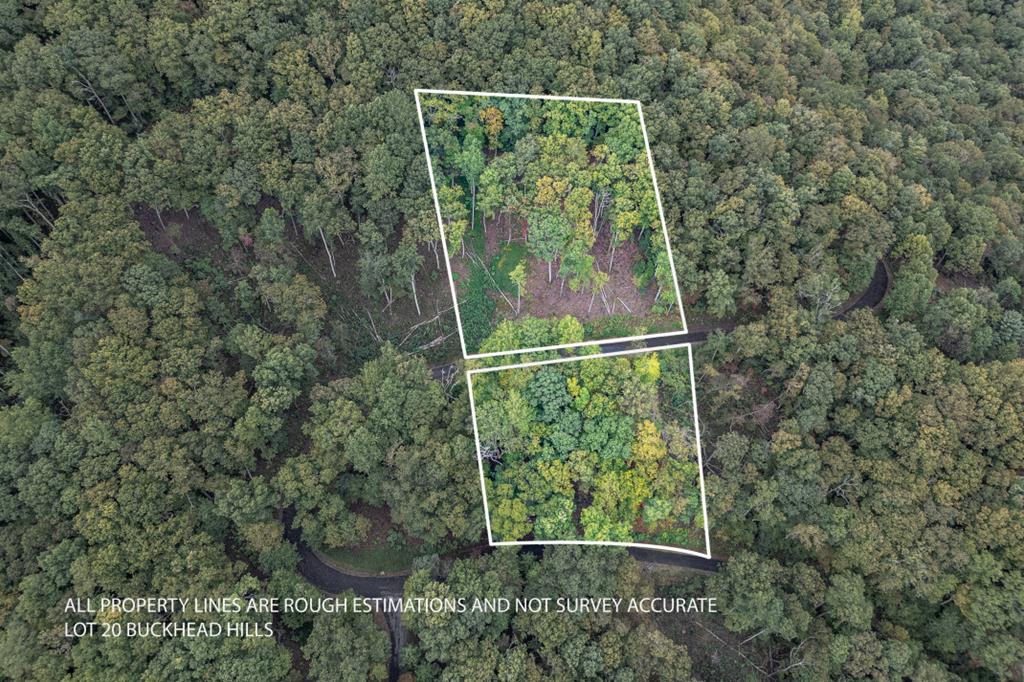 Lot 20 Buckhead Hills Hiawassee GA 30546