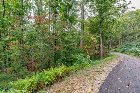 Lot 20 Buckhead Hills Hiawassee GA 30546