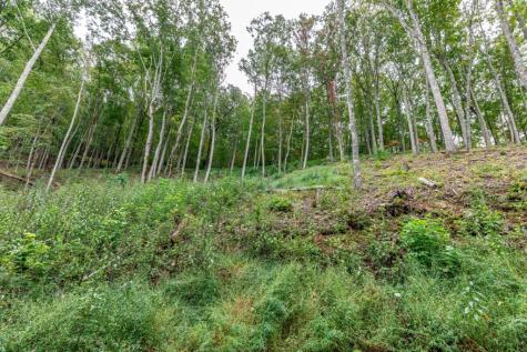Lot 20 Buckhead Hills Hiawassee GA 30546